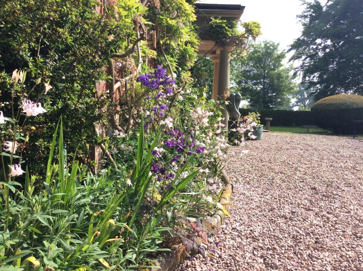 Mid Wales Arts B&B 카이어수스 외부 사진